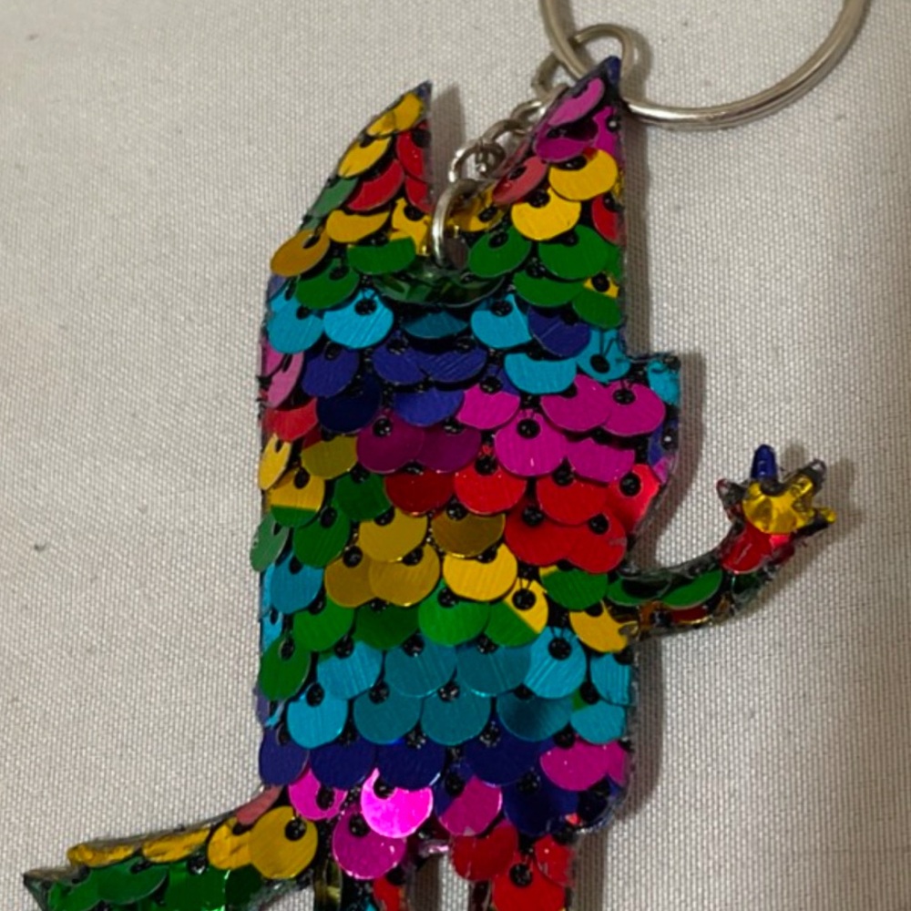 Colorful Reversible Keychain